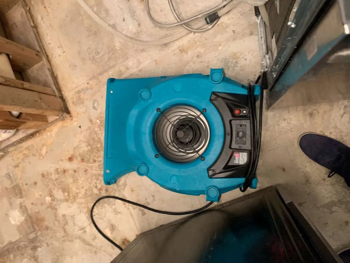 Air mover drying equipment for Mold Remediation & Removal in Topanga